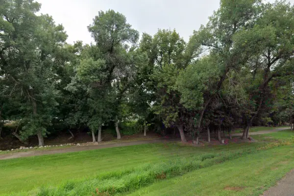 Lush green grass stretches toward a dense line of mature deciduous trees bordering a paved walking path.