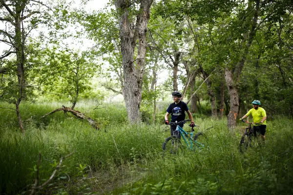 Two mountain bikers ride on a narrow trail through a lush, green forest with tall grass and large deciduous trees.