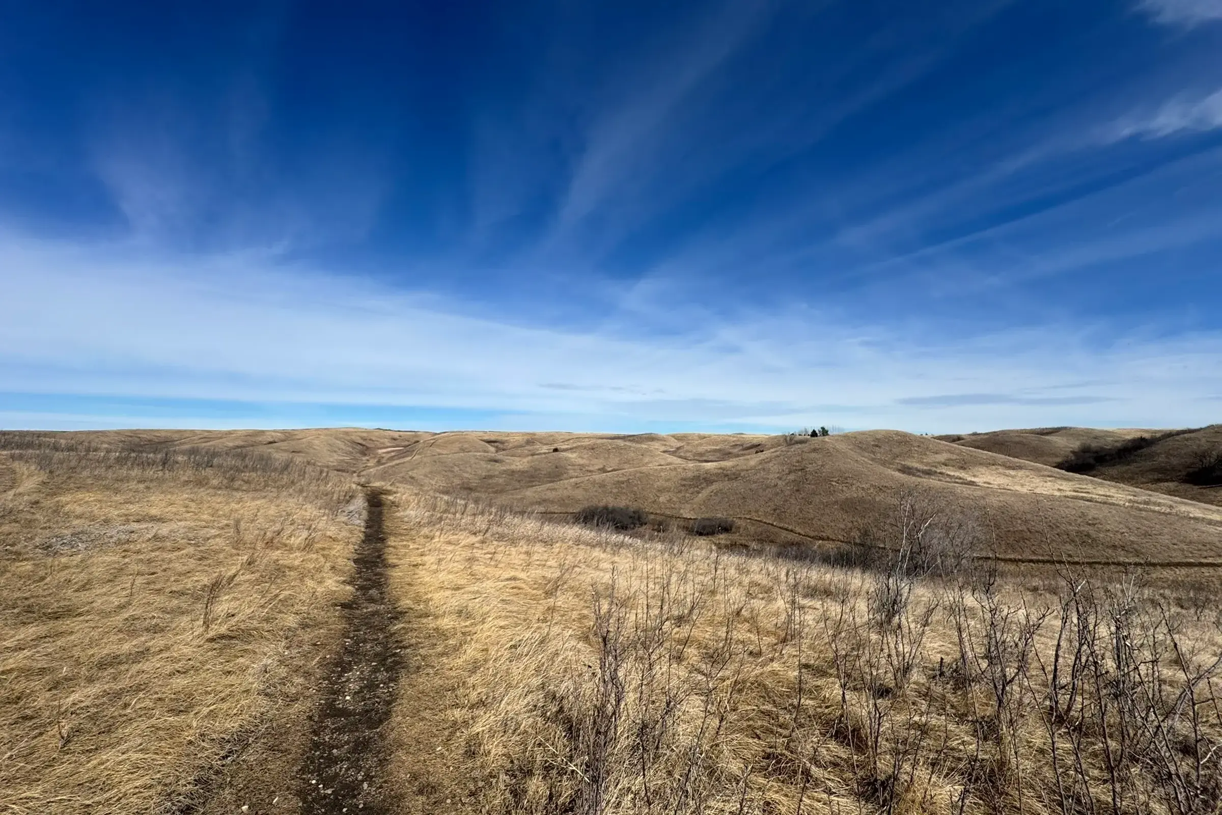 Dirt hiking trail winding through rolling golden prairie hills under a bright blue sky with wispy clouds.