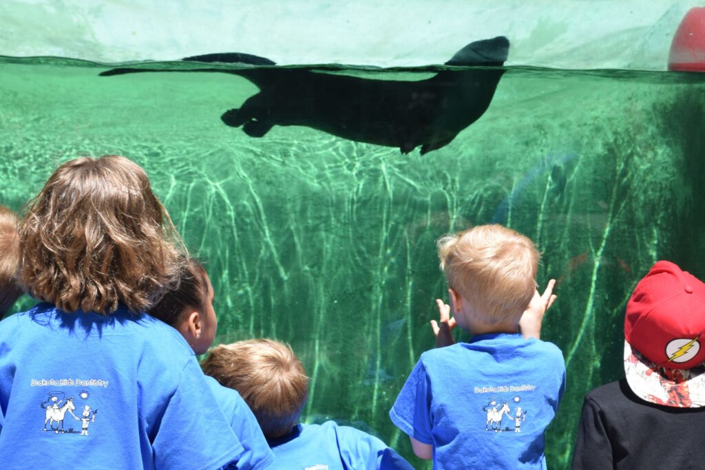 Children in blue shirts watch an otter swimming at Roosevelt Park Zoo in Minot, ND.