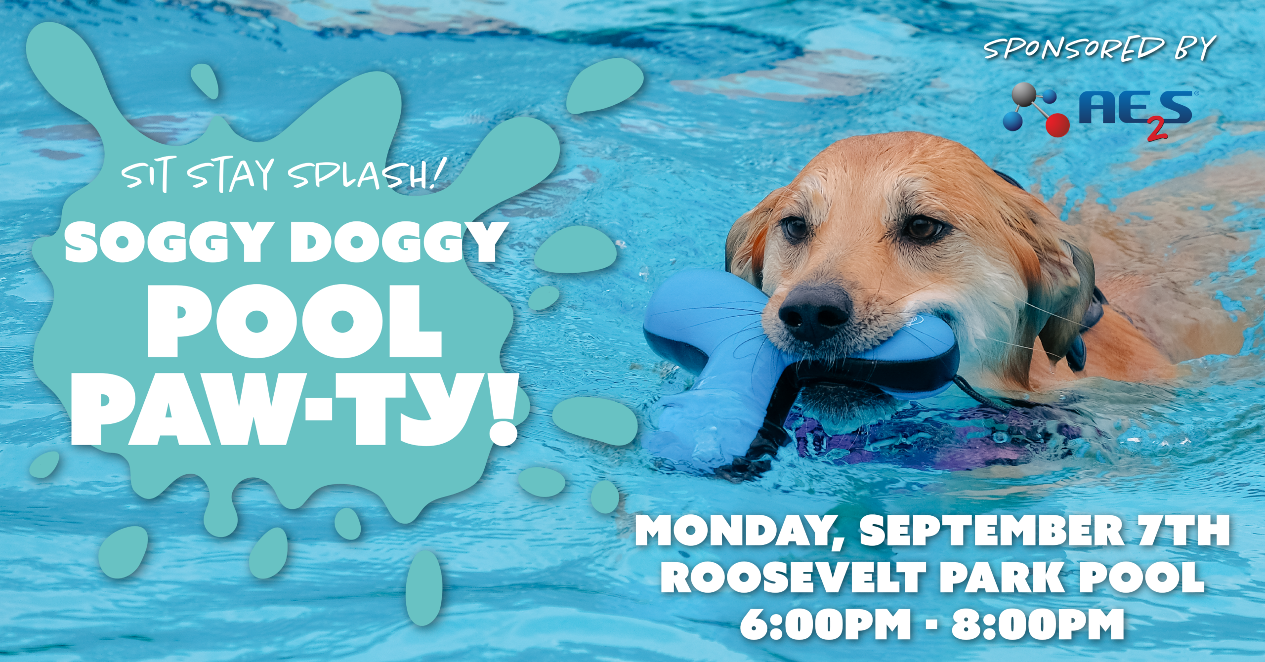 Soggy Doggy Pool Paw-ty to Take Place on Labor Day